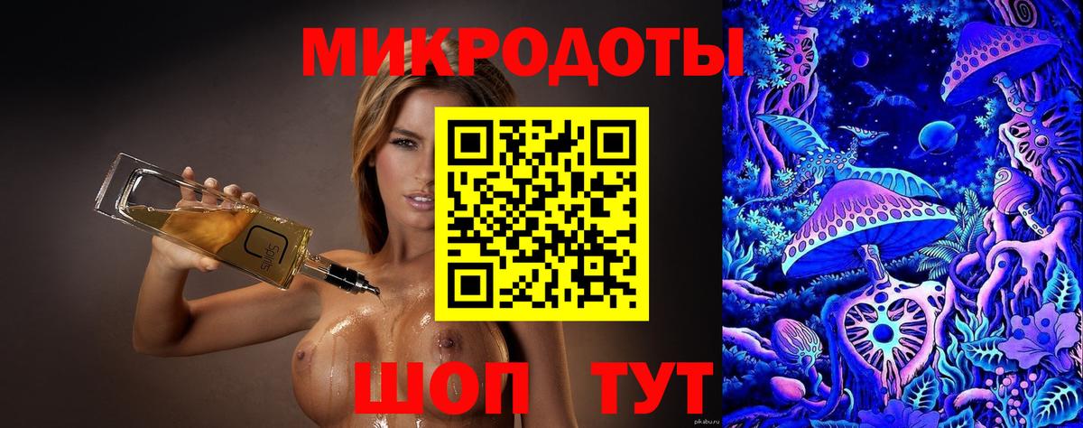 Галлюциногенные грибы Psilocybe Черняховск