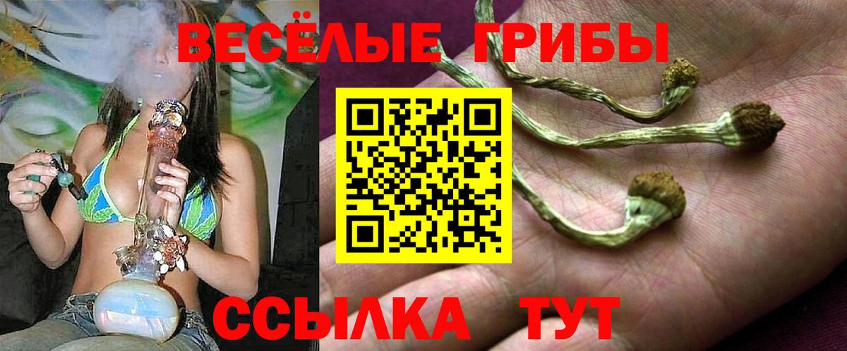 Псилоцибиновые грибы прущие грибы  Вход с VPN  Черняховск 